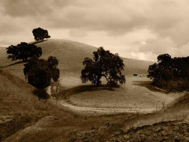 partners screenshot 5