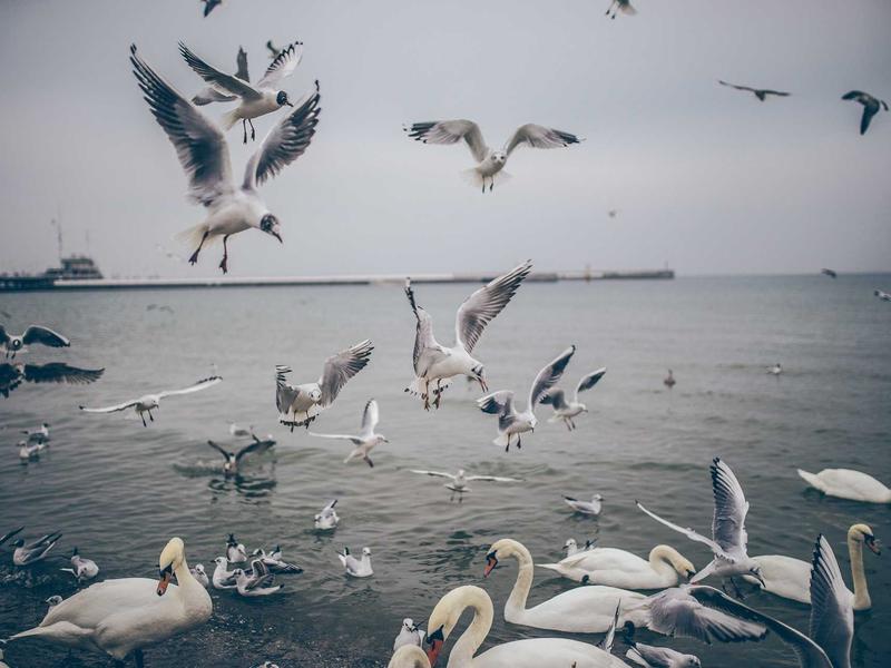 partners screenshot 3