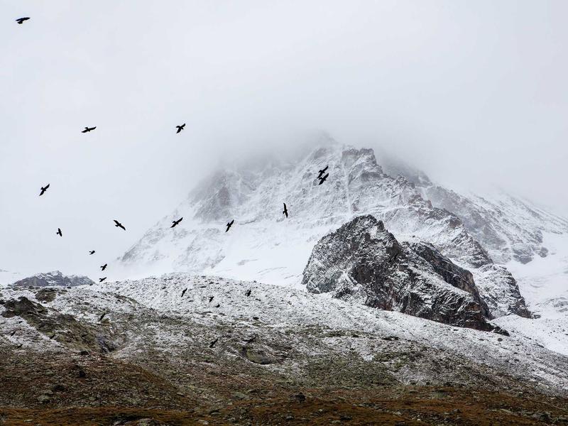 community screenshot 4